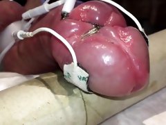 Subject C's beautiful pumped cock milked with estim
